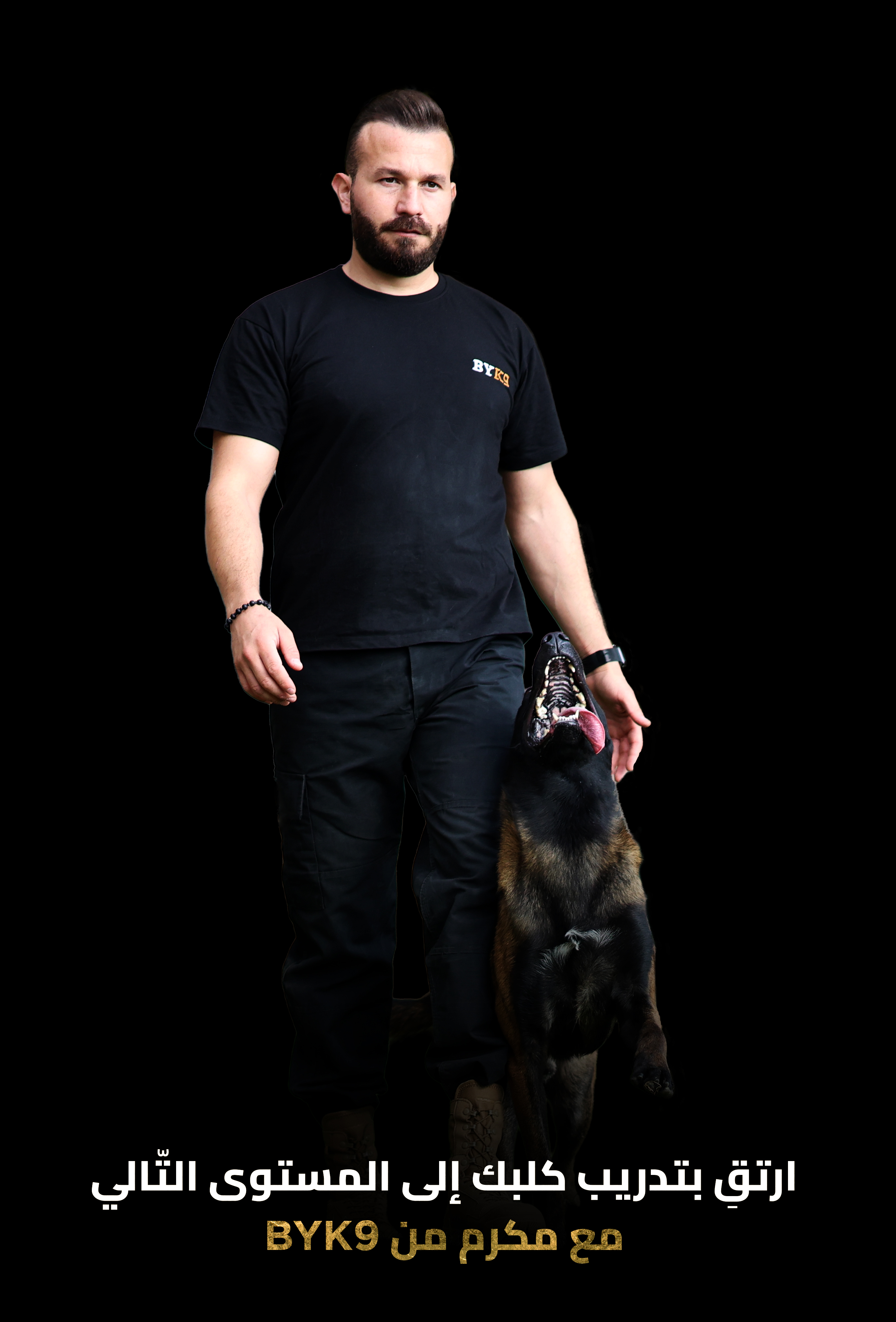 Dog Orders